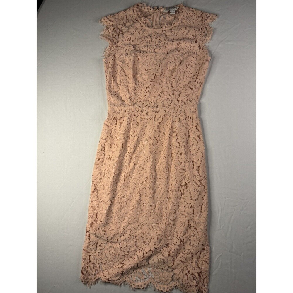 Rachel Zoe Los Angeles New York Long Dress 4 Lace Ruffled Nude Tan See Through